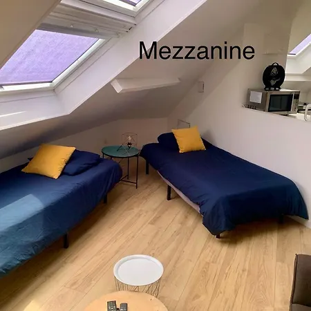 Feriehus Maison 22 Couchages Prox Gare Et Centre Max 10 Lille