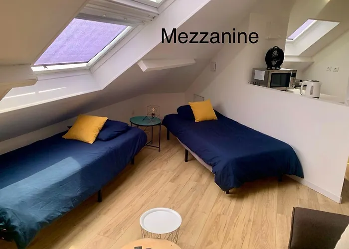 Hébergement de vacances Maison 22 Couchages Prox Gare Et Centre Max 10 Lille