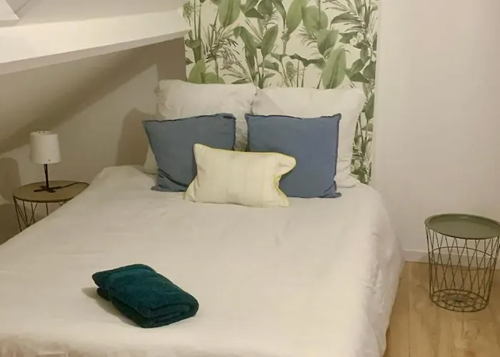 Maison 22 Couchages Prox Gare Et Centre Max 10 Hébergement de vacances Lille